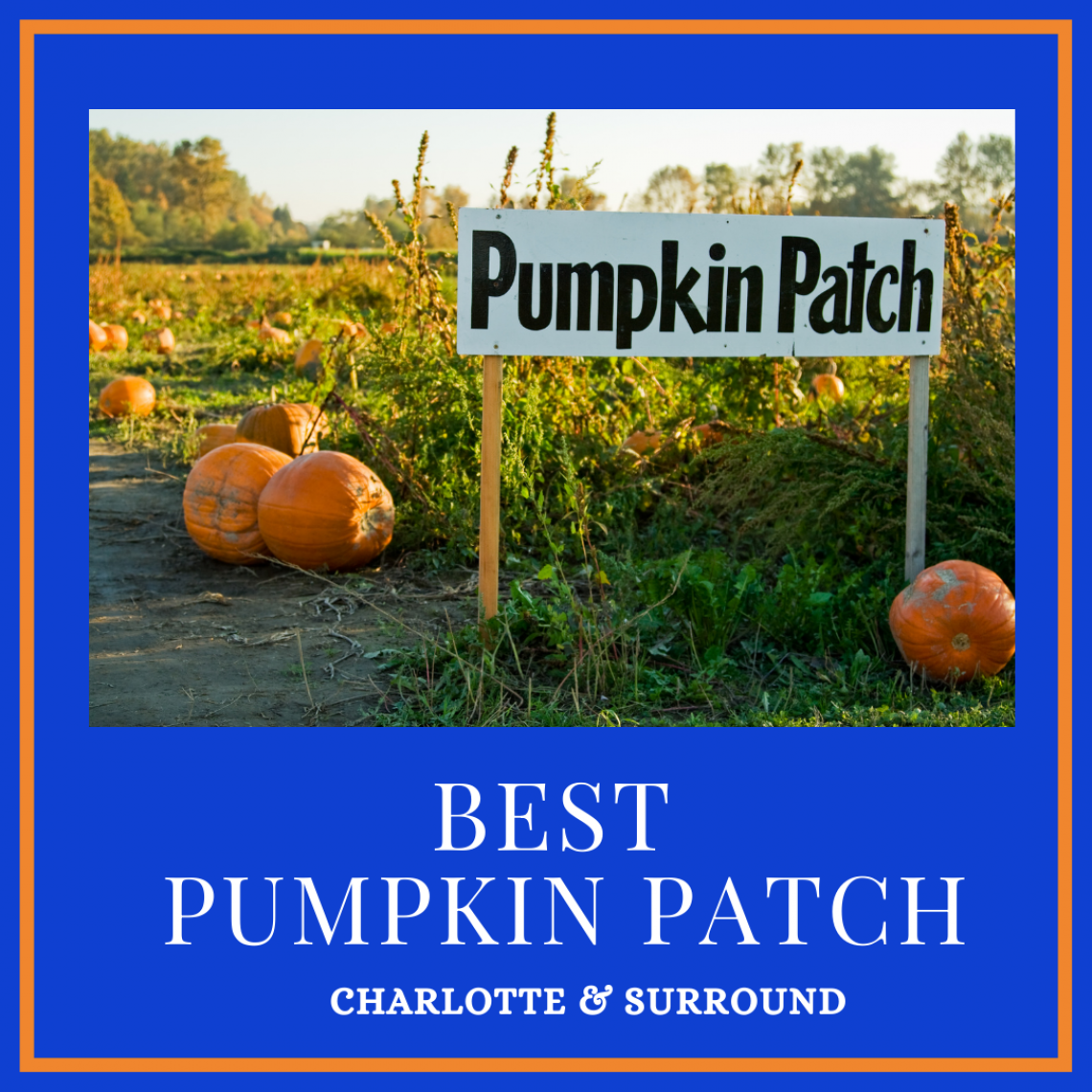 Oct 3 PumpkinPatch